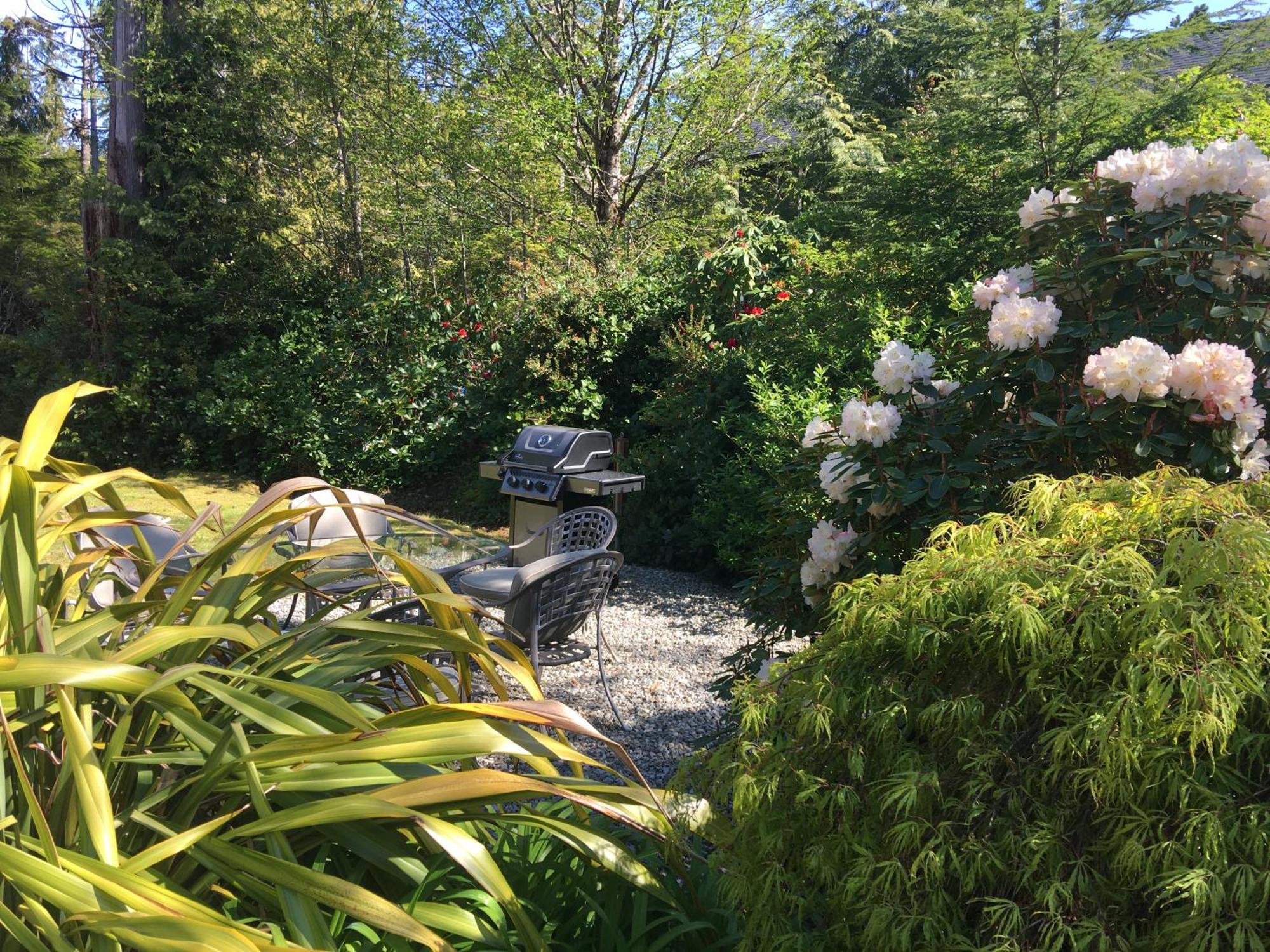 Cobble Wood And Bird Sanctuary Guest Houses Τοφίνο Εξωτερικό φωτογραφία