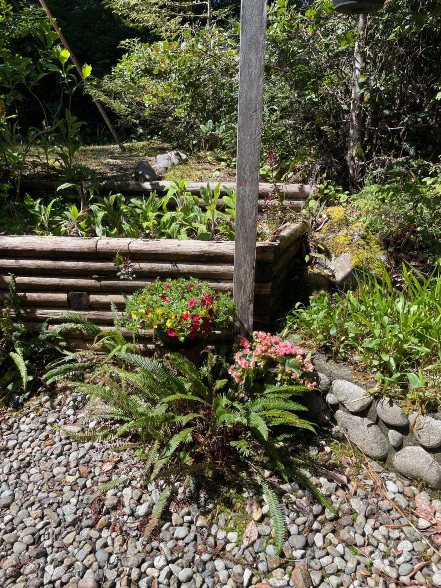 Cobble Wood And Bird Sanctuary Guest Houses Τοφίνο Εξωτερικό φωτογραφία